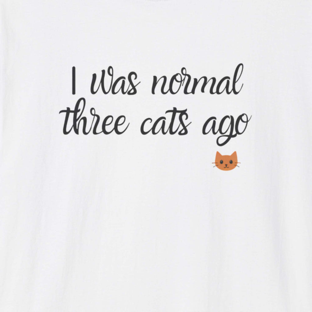 i was normal 3 cats ago T-Shirt