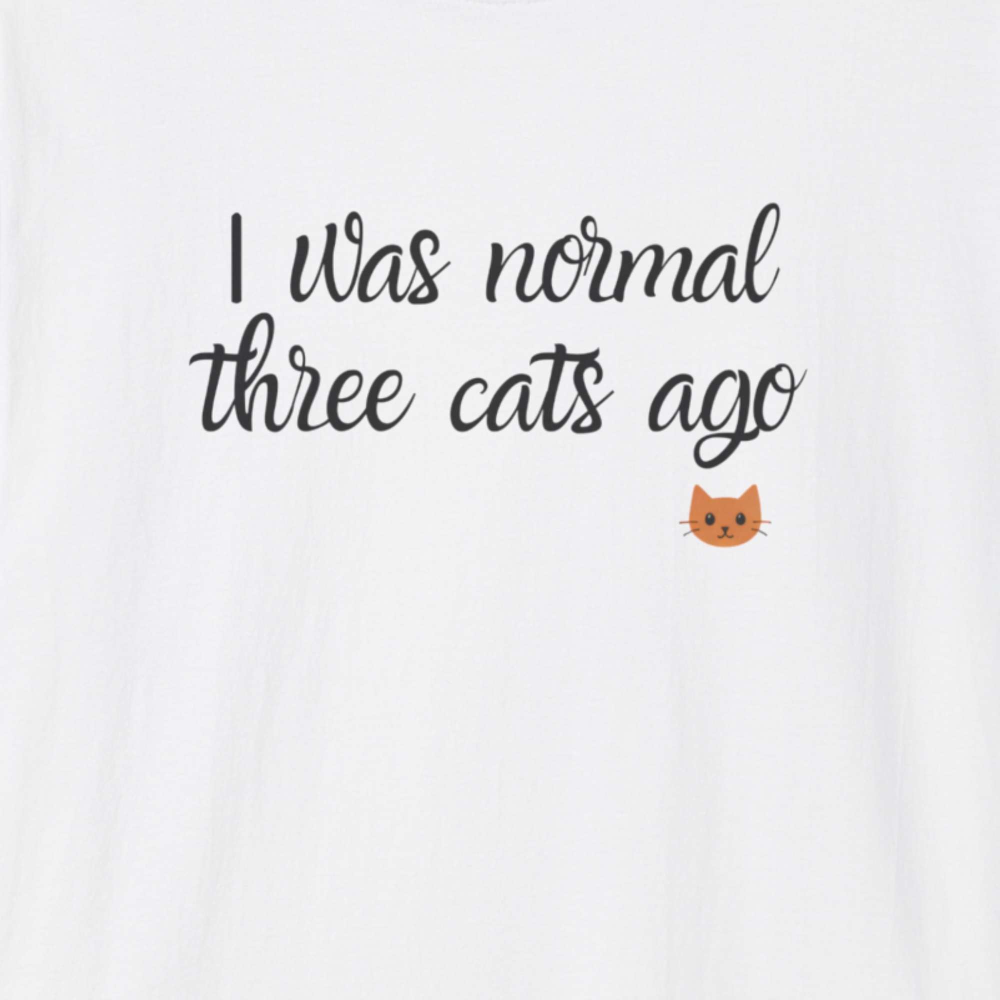 i was normal 3 cats ago T-Shirt