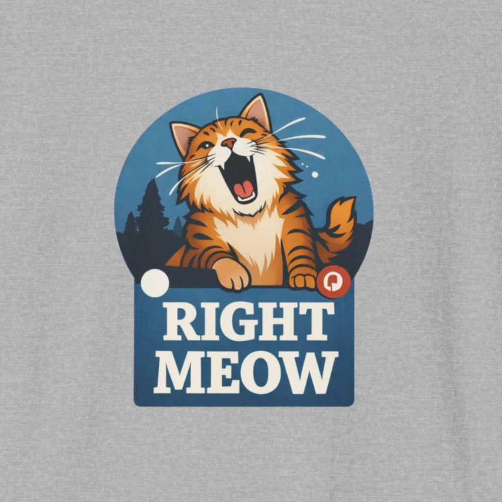 Right Meow T-Shirt