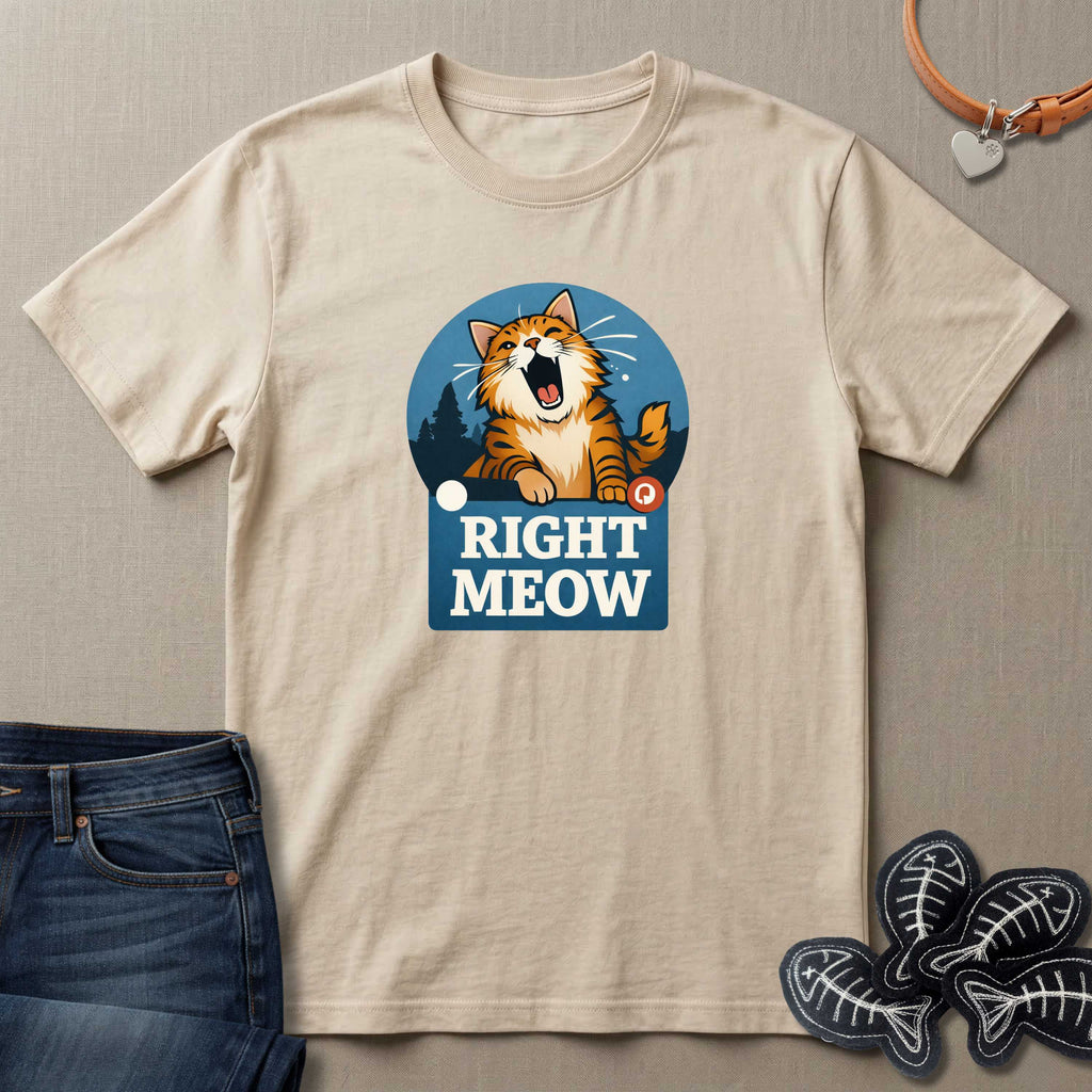 Right Meow T-Shirt
