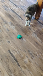St. Patrick's Day Shamrock Catnip Toys – Handmade Set of 4