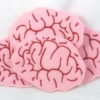 Set of four embroidered brain coasters